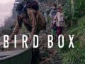 Bird Box