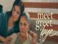 Meet Greet and Bye